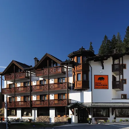 Hotel Montana-2
